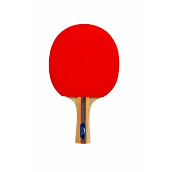 Slazenger Champion Ittf Onaylı Masa Tenis Raketi 