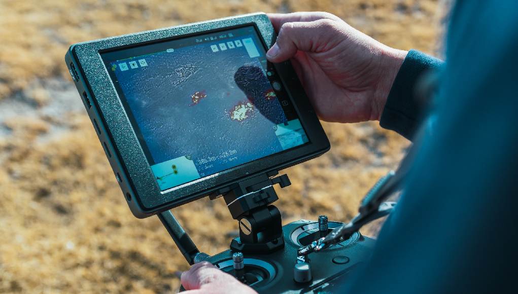 En İyi Balık Bulucu