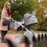 En İyi Baston Bebek Arabası