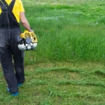 En İyi Benzinli Tırpan