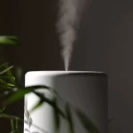 En İyi Buhar Makinesi