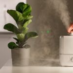 En İyi Hava Nemlendirici