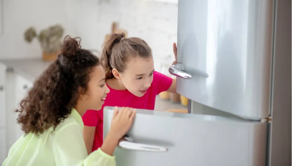 En İyi Kombi Tipi Buzdolabı