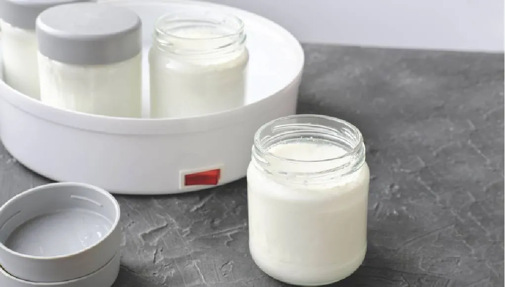 En İyi Yoğurt Yapma Makinesi