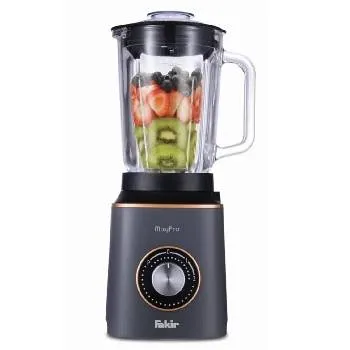 Fakir Mixypro Smoothie Blender