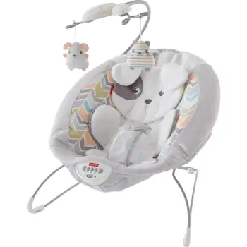 Fisher-Price Sweet Snugapuppy GWD50 Ana Kucağı