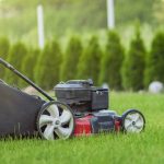 En İyi Çim Biçme Makinesi