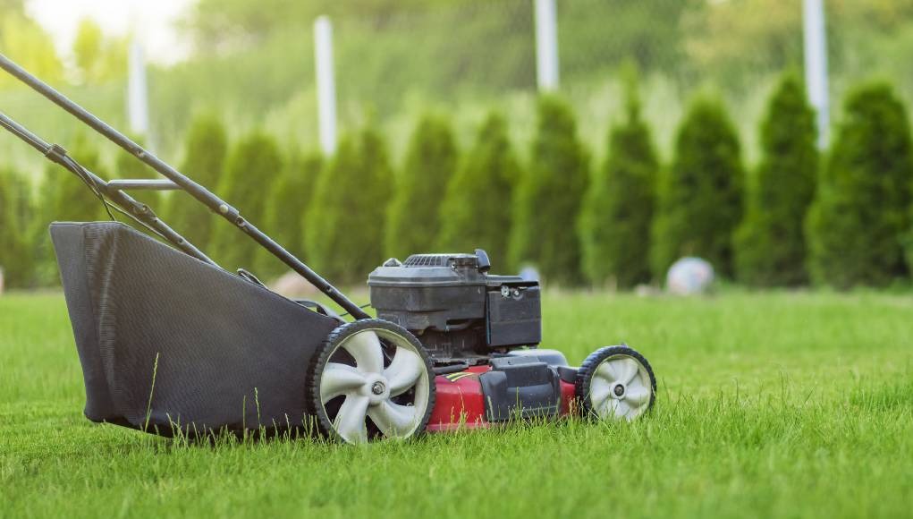 Çim Biçme Makinesi