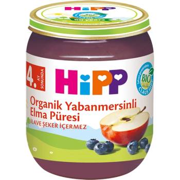HiPP Organik Yaban Mersinli Bebek Maması