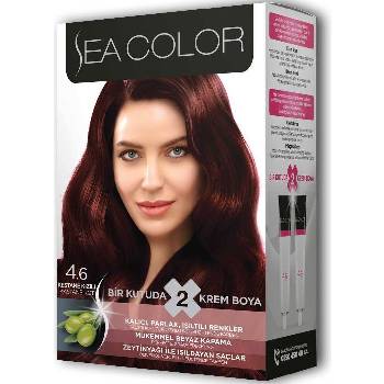 Sea Color 2 Kestane Kızılı 4.6 Saç Boyası 