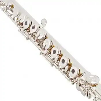 Pearl Quantz F665RE Yan Flüt