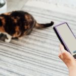 En İyi Otomatik Mama Kabı