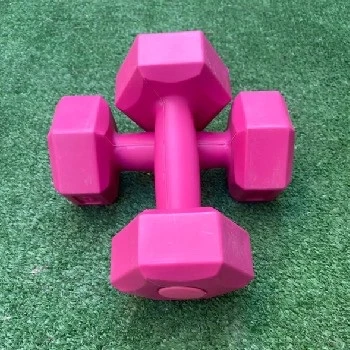 Leyaton 1 kg Dambıl Seti