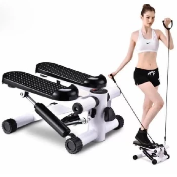 Leyaton Fitness Total Body Stepper